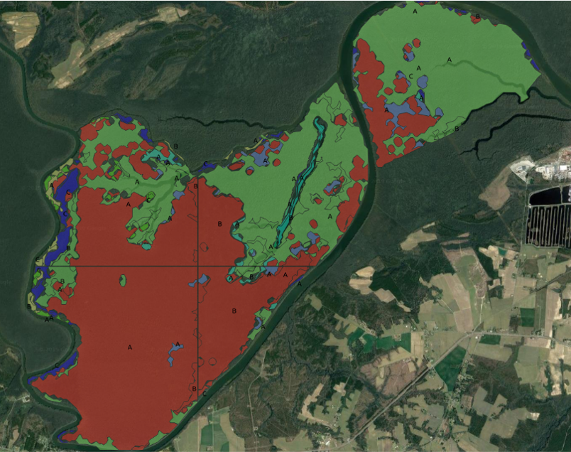 Natural Community AI